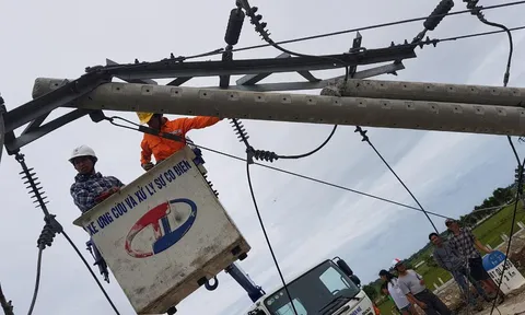 Vì sao bão không lớn nhưng hơn 400 cột điện bị gãy?
